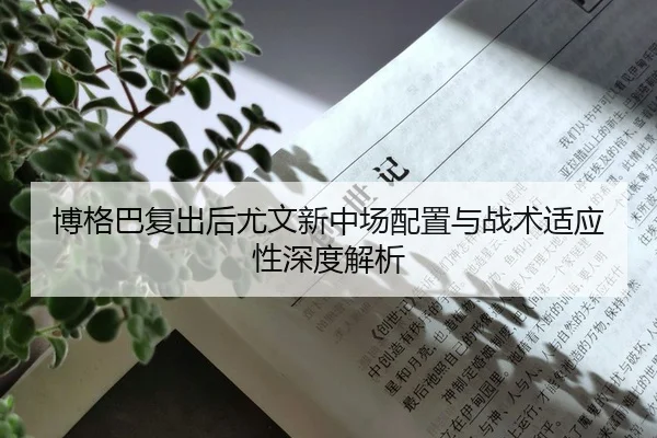 博格巴复出后尤文新中场配置与战术适应性深度解析